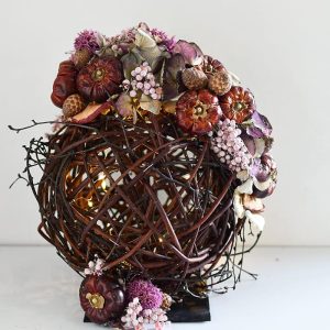 Pakket Herfst 24:bol berk/wilg met led en droogmaterialen op staander