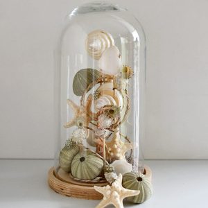Pakket 11: stolp met schelpen