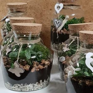 Plantenterrarium