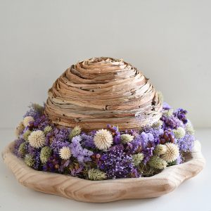 Lente - zomer