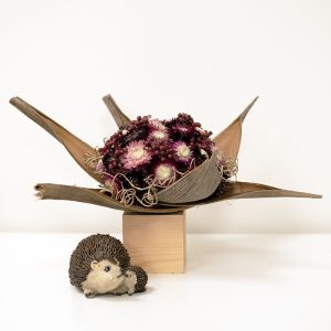 Pakket Herfst 12 :  houten blokje met coco naturel en natuurlijke droogmaterialen